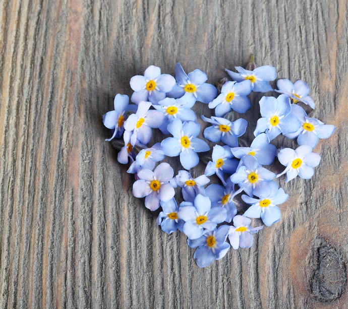 A heart shape made of delicate blue forget-me-not flowers with yellow centers, arranged on a rustic wooden surface.