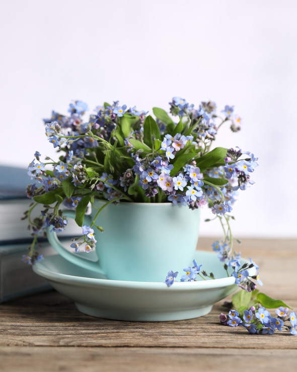 A light blue cup filled with delicate blue and purple forget-me-not flowers, set on a matching saucer, resting on a wooden surface next to some books.