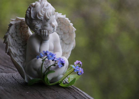 A delicate angel figurine with detailed wings sitting among blue and purple flowers on a wooden surface, evoking a serene and peaceful atmosphere.